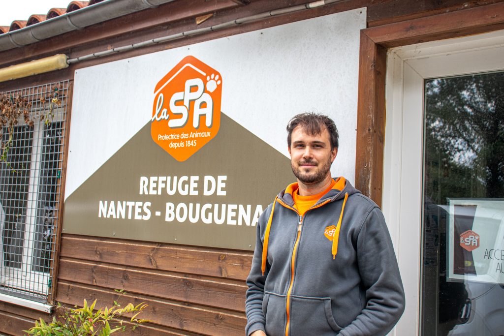 À la SPA, les chats représentent 75 % des animaux accueillis.