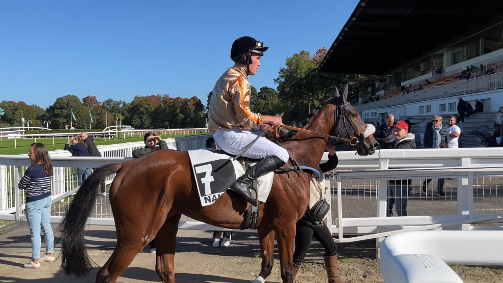 Aymeric Lelièvre, jockey en course d'obstacles depuis ses 16 ans. © Florentin Delacour