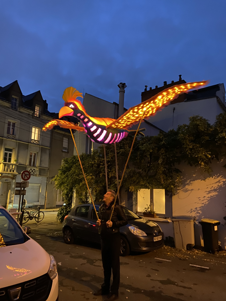 La Parade Des Oiseaux - Grue