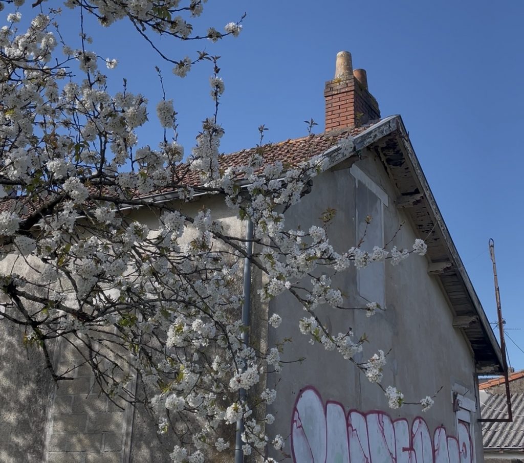 Les travaux de la maison MADIE n'ont pas encore commencé © Eline Gouraud